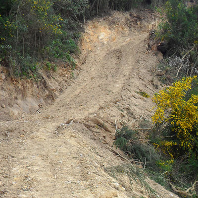 Farm Road